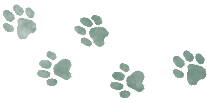 illustration de traces de pattes de chat